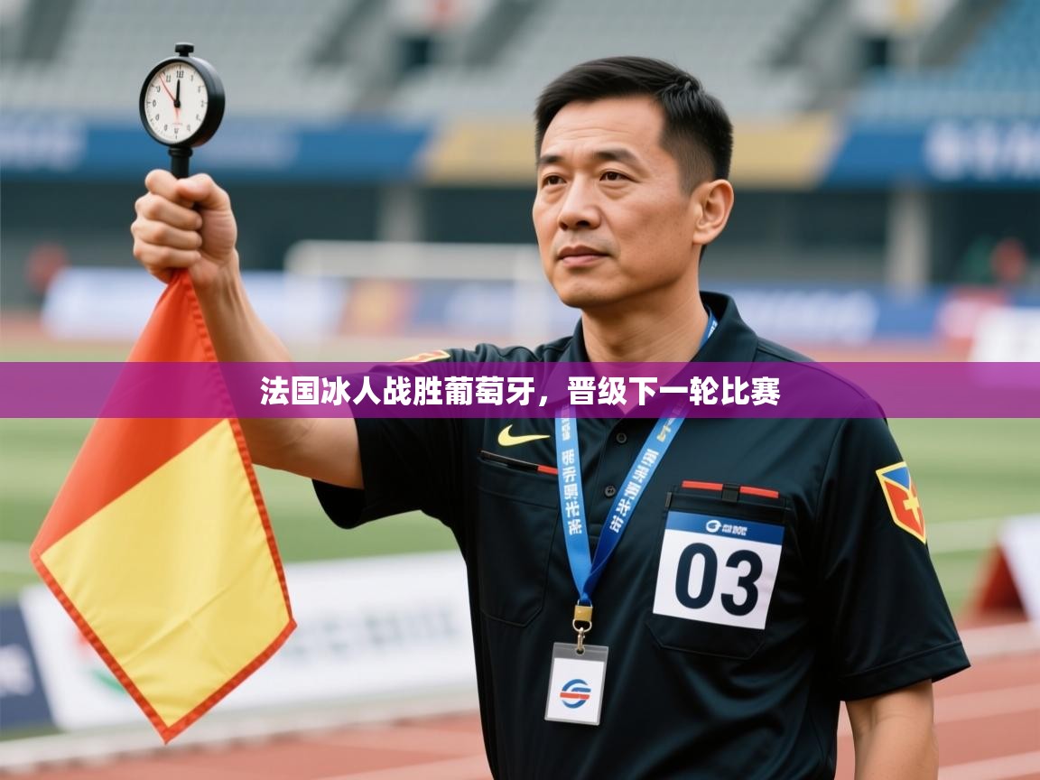 开云体育在线观看-法国冰人战胜葡萄牙,晋级下一轮比赛 第2张