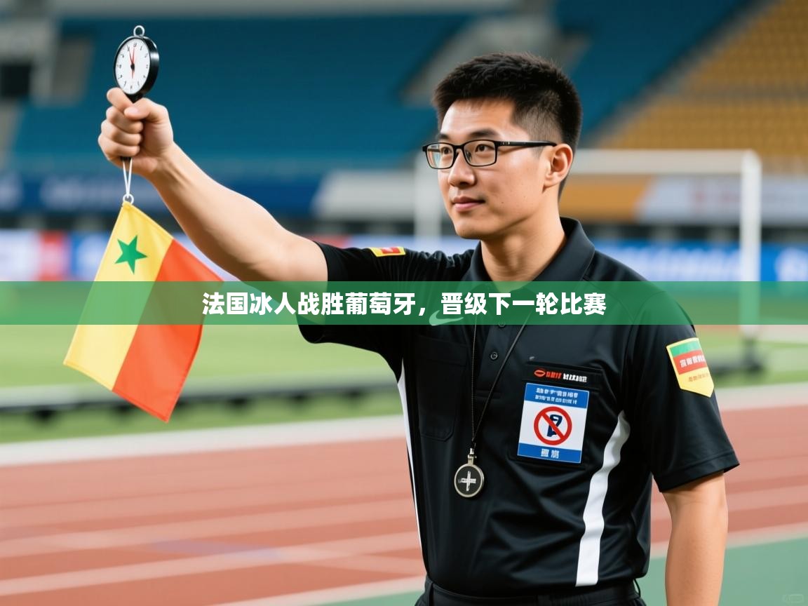 开云体育在线观看-法国冰人战胜葡萄牙,晋级下一轮比赛 第3张
