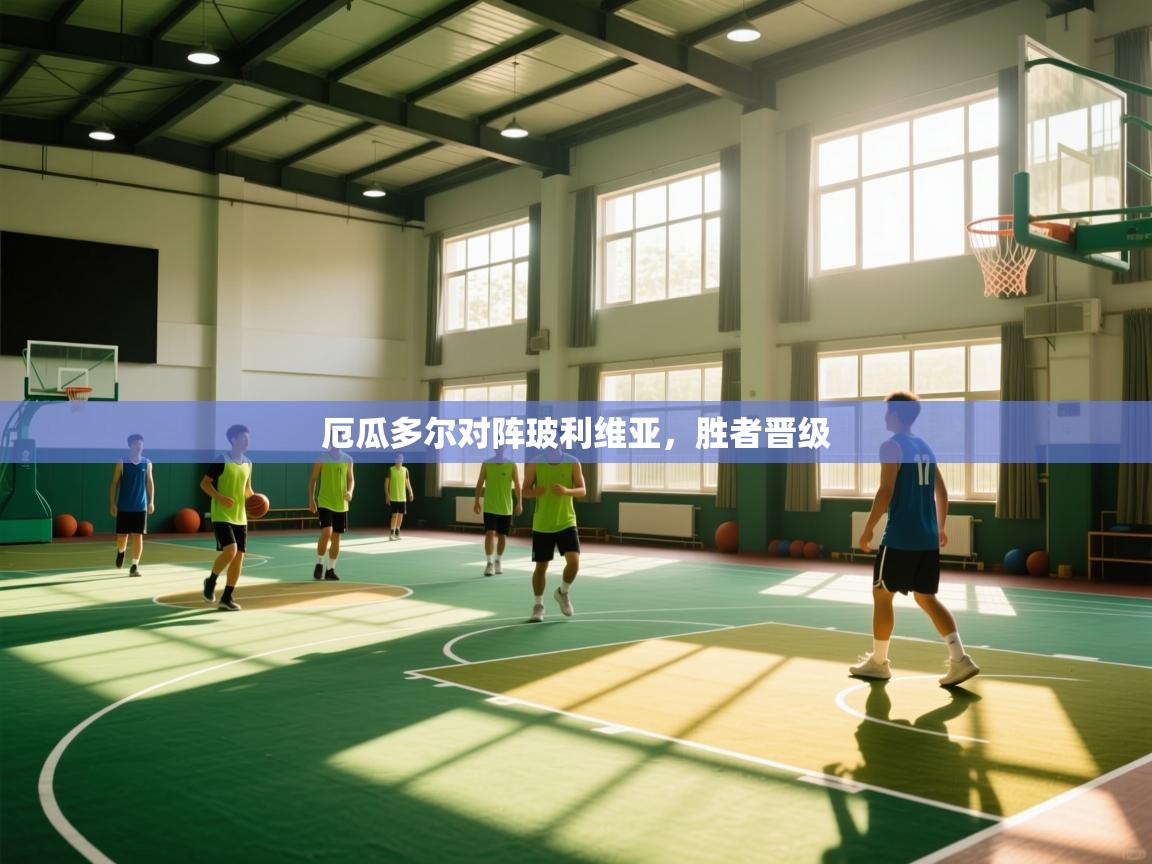 开云体育版本更新日志2025-厄瓜多尔对阵玻利维亚，胜者晋级  第2张