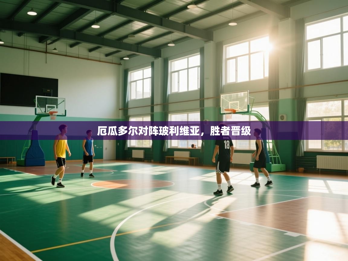 开云体育版本更新日志2025-厄瓜多尔对阵玻利维亚，胜者晋级  第4张