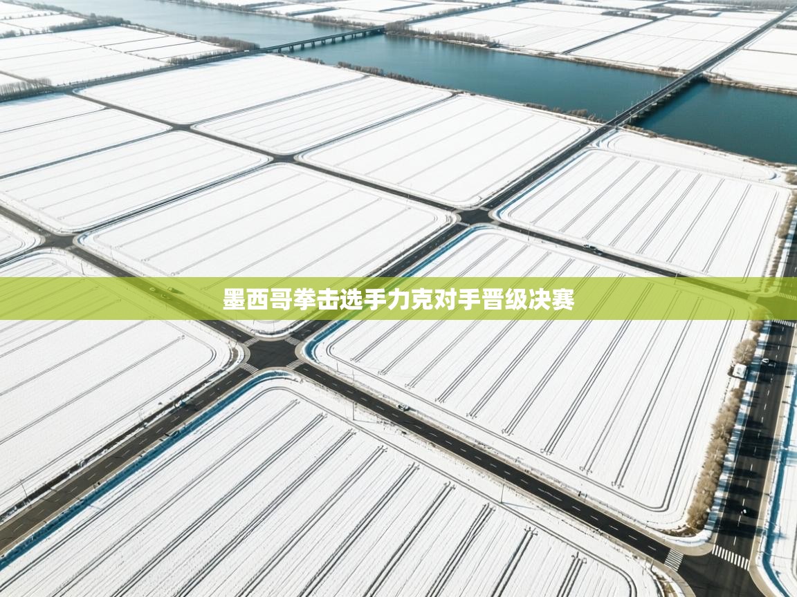 云开体育官方网站登录-墨西哥拳击选手力克对手晋级决赛  第2张