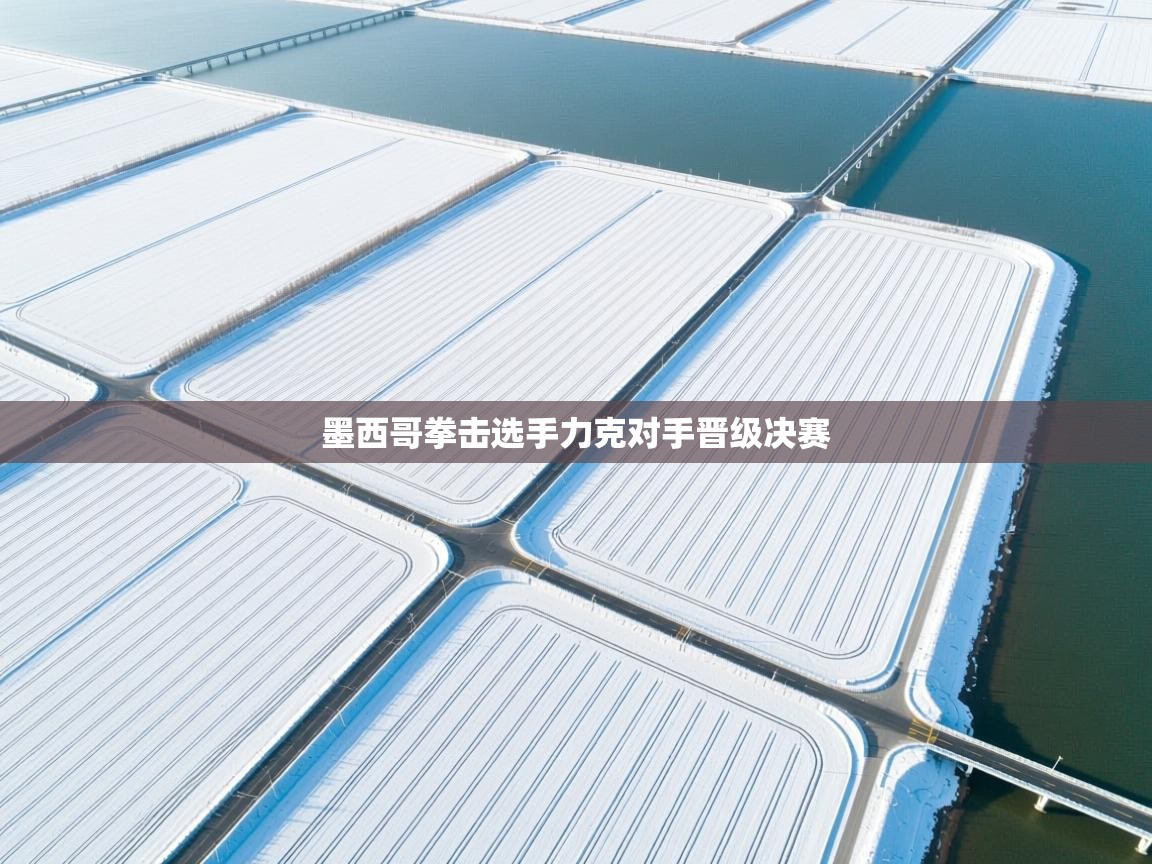 云开体育官方网站登录-墨西哥拳击选手力克对手晋级决赛  第3张