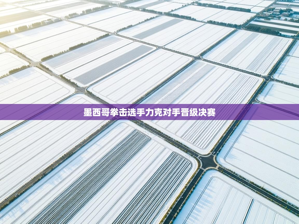 云开体育官方网站登录-墨西哥拳击选手力克对手晋级决赛  第4张